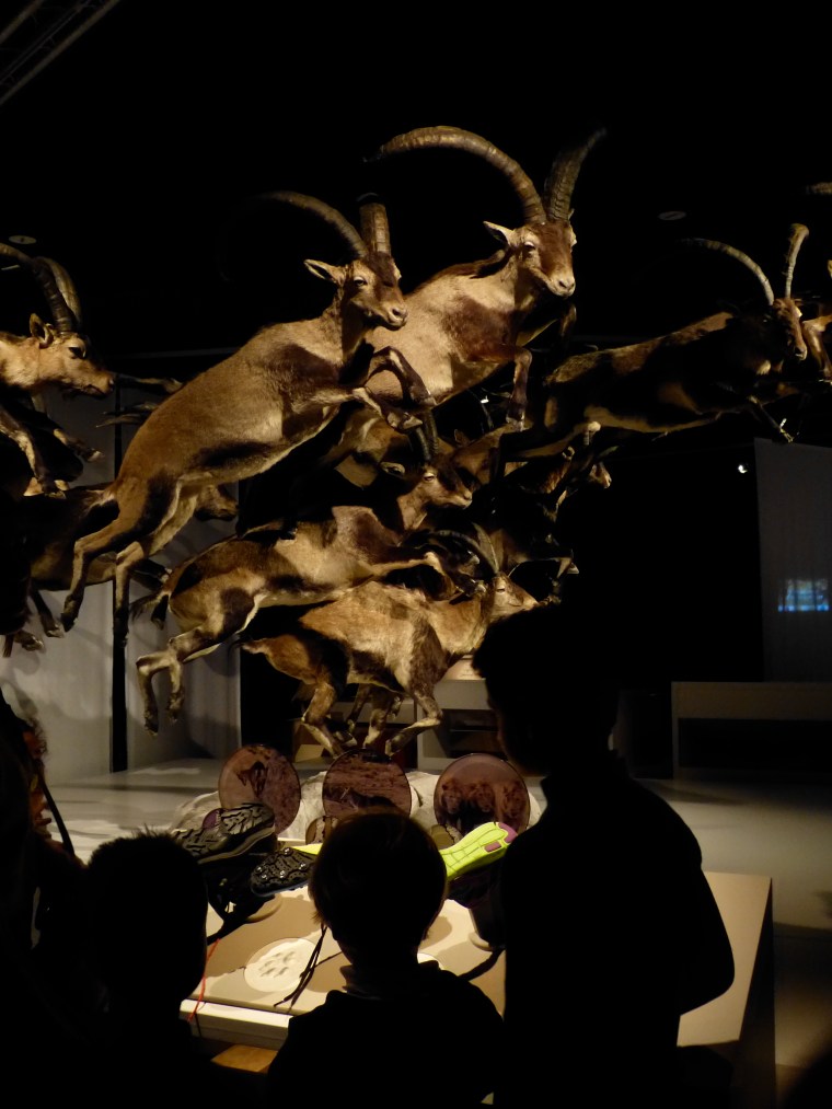 Nos conteurs en herbe au Musée des Sciences Naturelles, début 2016